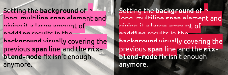 Screenhot showing a multi-line paragraph with a long portion highlighted by being wrapped in a span that gets a background contrasting with both the backdrop and the text. Both the light theme case (left, black text, light image backdrop, pink highlight) and the dark theme case (right, white text, dark image backdrop, crimson highlight) are included. The highlights expand out quite a bit outside the portion they're meant to pop, overlapping some of the neighbouring words and lines, yet they always show behind the text of the paragraph around. Unfortunately, that's not enough, as they are painted above the text on the previous line that's also wrapped in the same span.