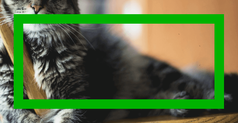 Screenshot showing what we get after the third  primitive: just the middle frame, the one holding the background alpha on the green channel, but now with its alpha set to , fully opaque.