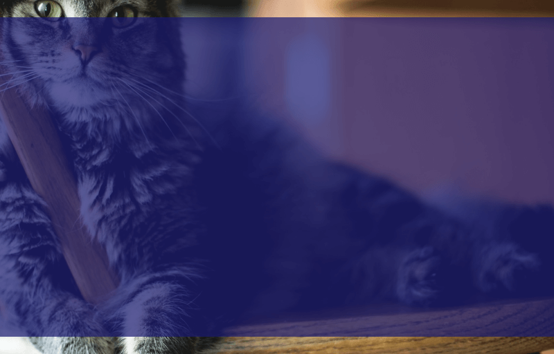 Screenshot showing us the result of compositing the full filter area fill background RGB and background alpha layers. This has the desired background RGB and the desired background alpha.