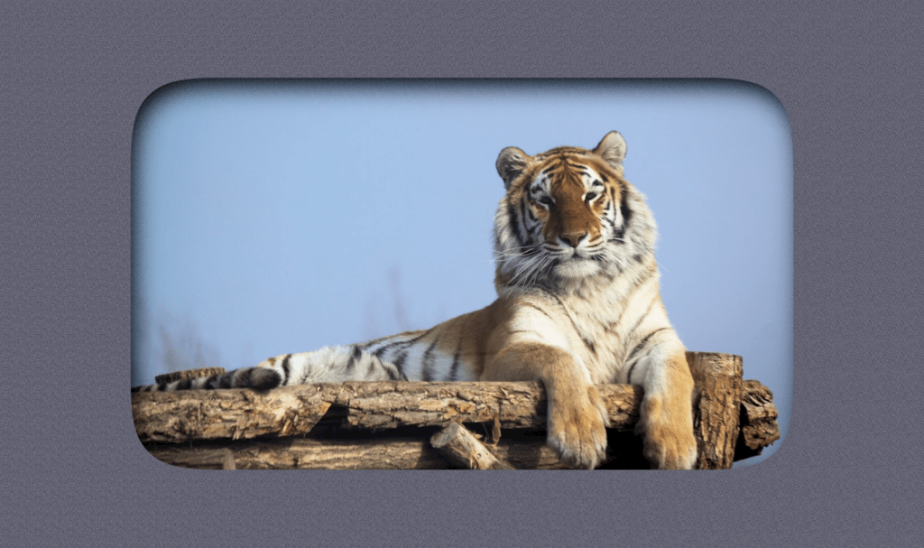 Post Thumbnail for Inset Shadows Directly on img Elements (Part 1)